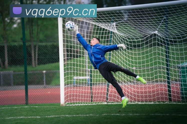 华体网首页官网APP 体育赛事宣传图